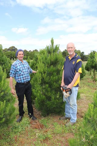 Rotary Xmas Trees - 06.12.2022 post image