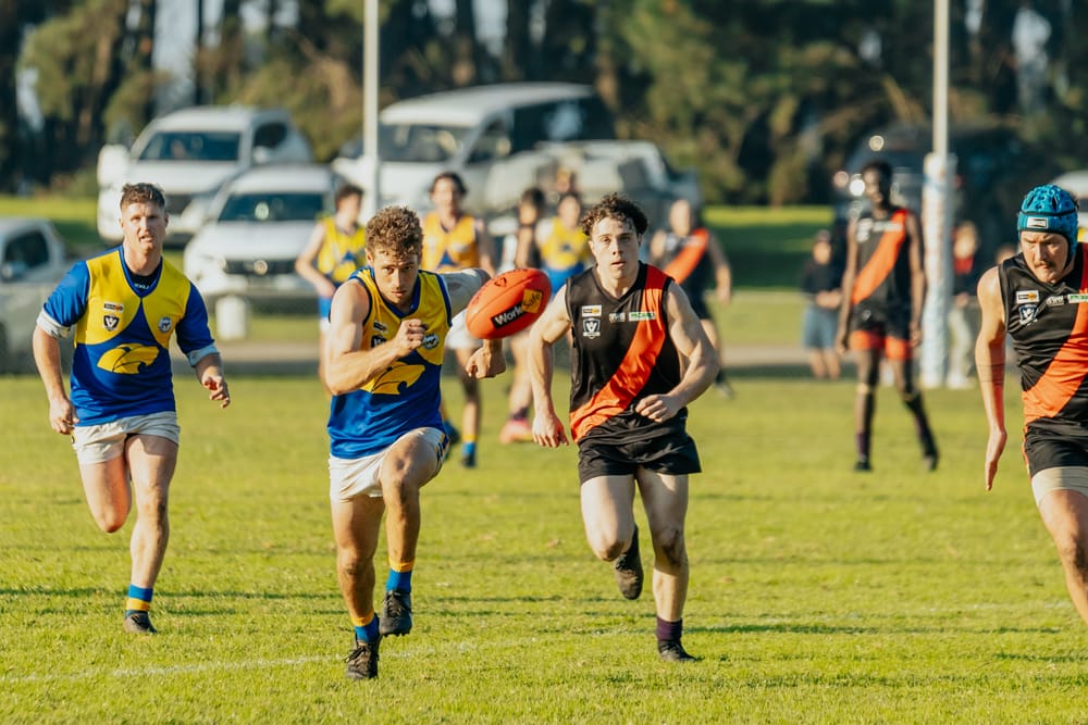 Eagles overcome spirited Bombers post image