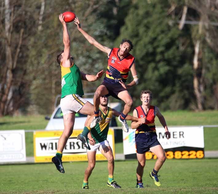 Yarragon wins Waterloo Cup post image