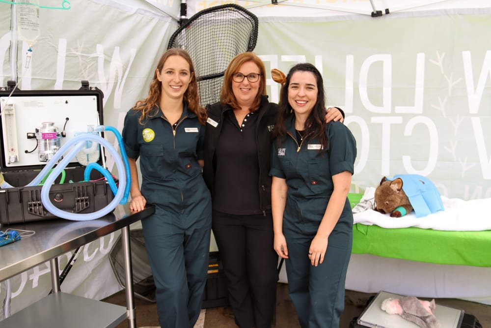 Regional response to wildlife calls post image