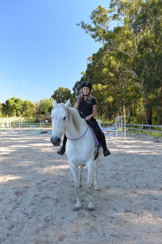 Bridleless Riders - 23.12.2021 post image