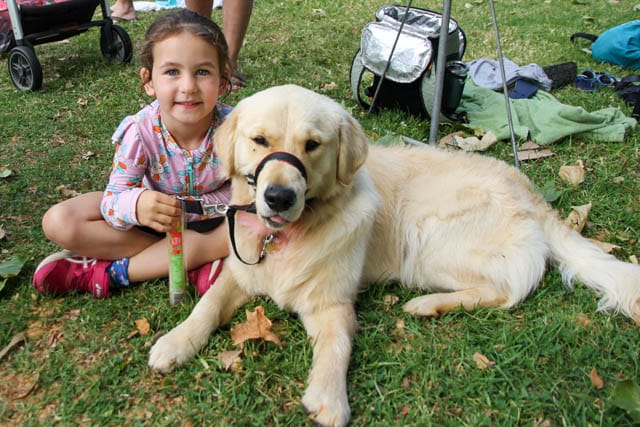 Triathalon - 17.02.2024 post image