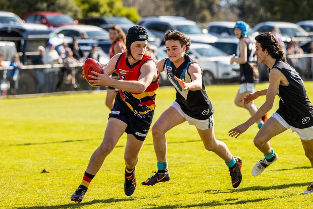 Crows keep Panthers at bay post image