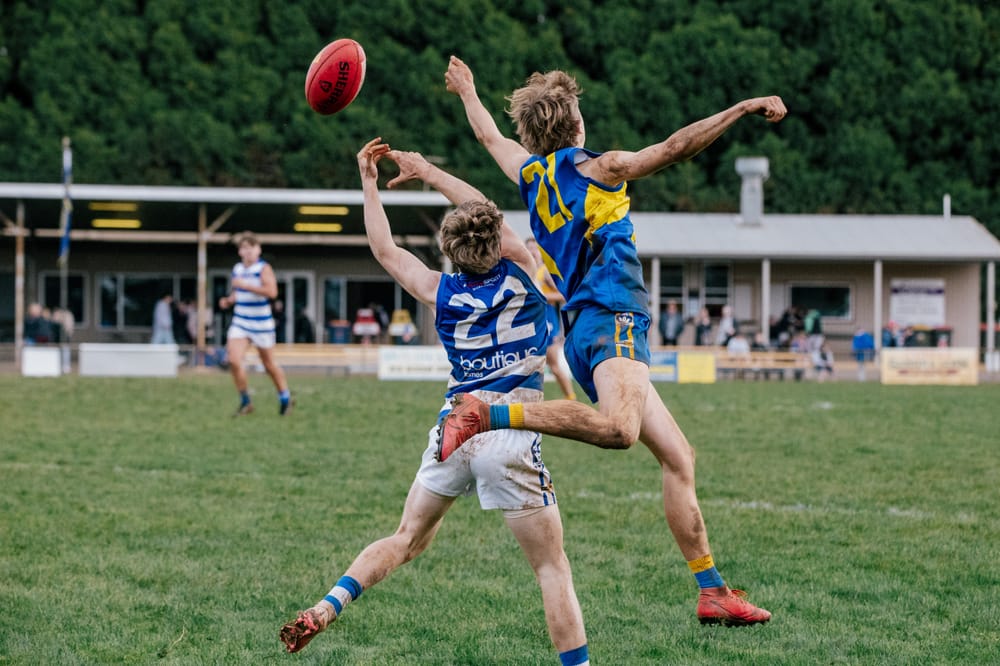 Cats kick away against Eagles post image
