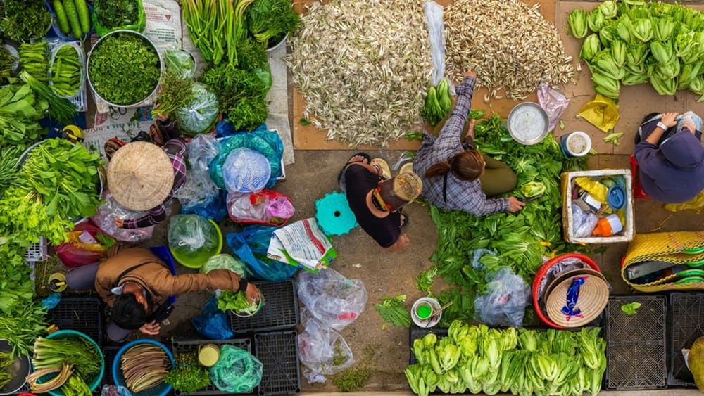 Microfinancing 101: The investment that’s changing the world post image