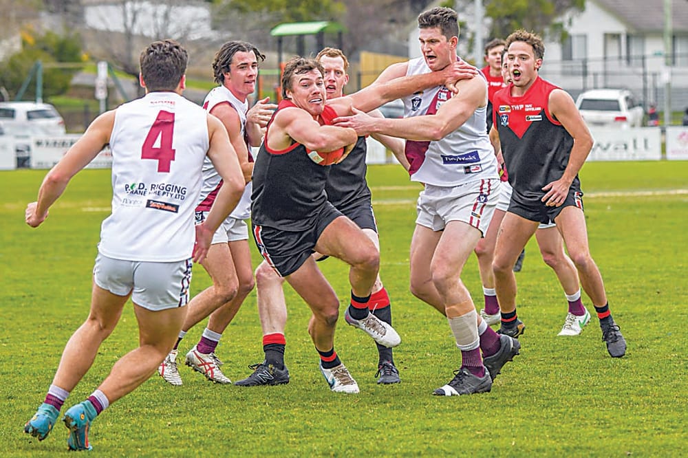 Gulls punished in Maroon mauling post image