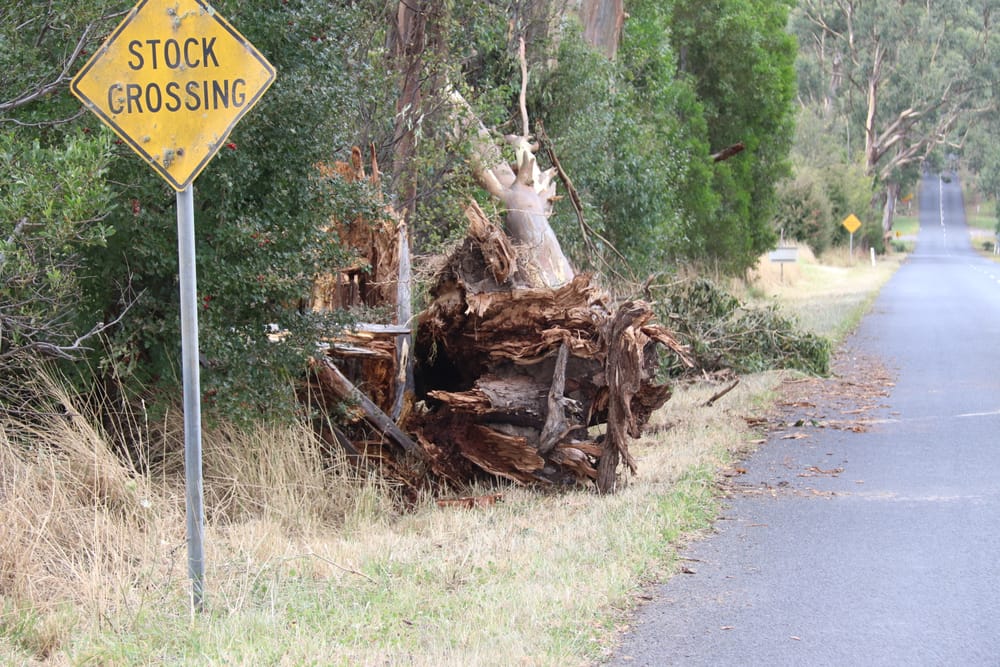 Good samaritan lends clean-up hand post image