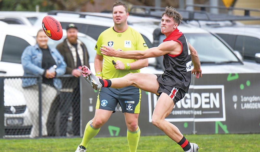 Gulls brave despite loss to Lions post image