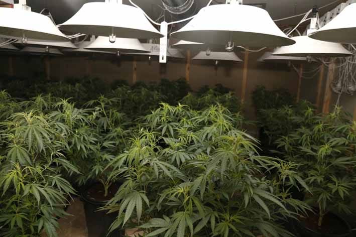 Drouin drug house raided post image