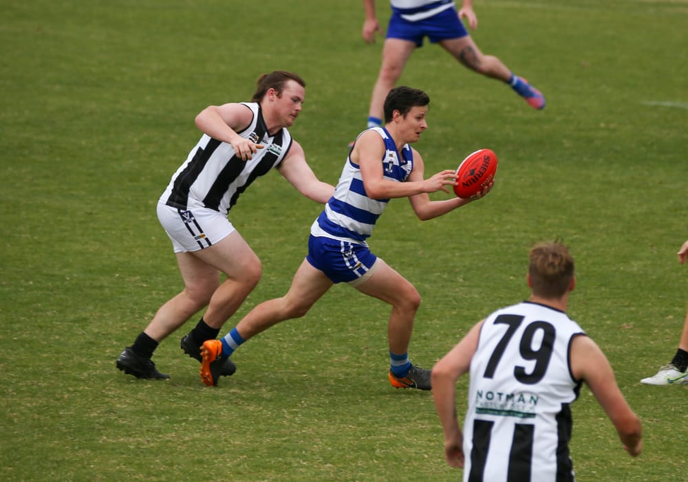 Cats crush Magpies post image