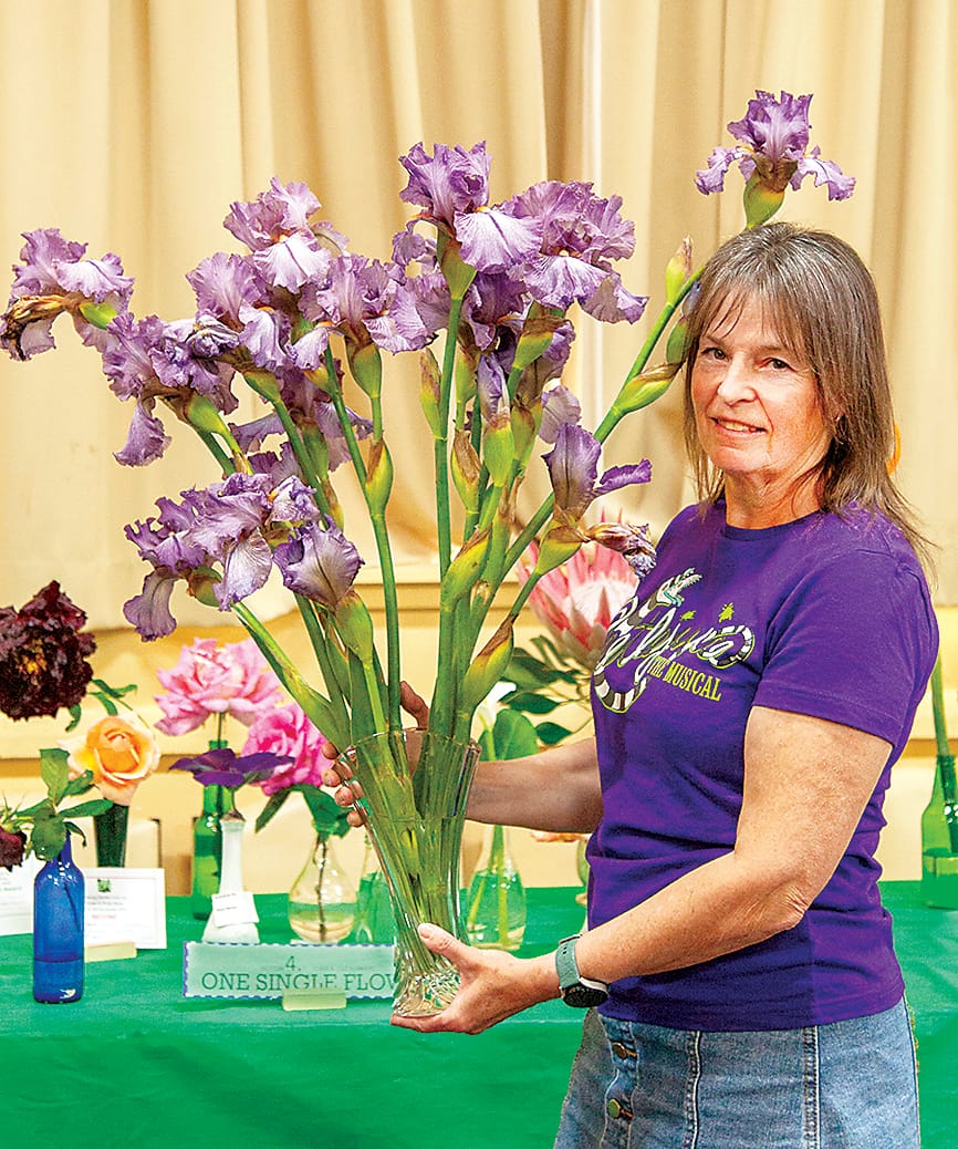 Colourful display at Poowong post image