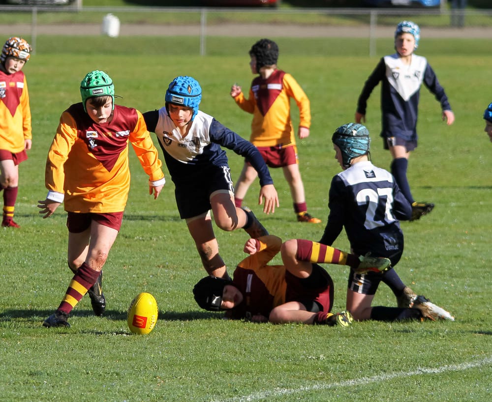 Football Juniors (U10's) Warragul Blues Vs. Drouin - 30.07.2022 post image