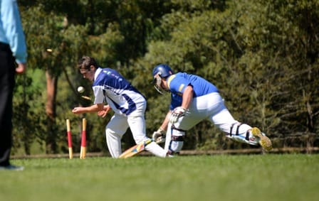 Cricket returns post image