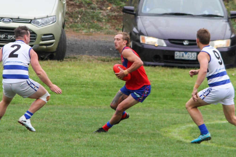 Another challenge for Lyrebirds as Eagles await in EDFNL post image