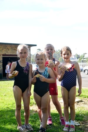 Pups in action post image