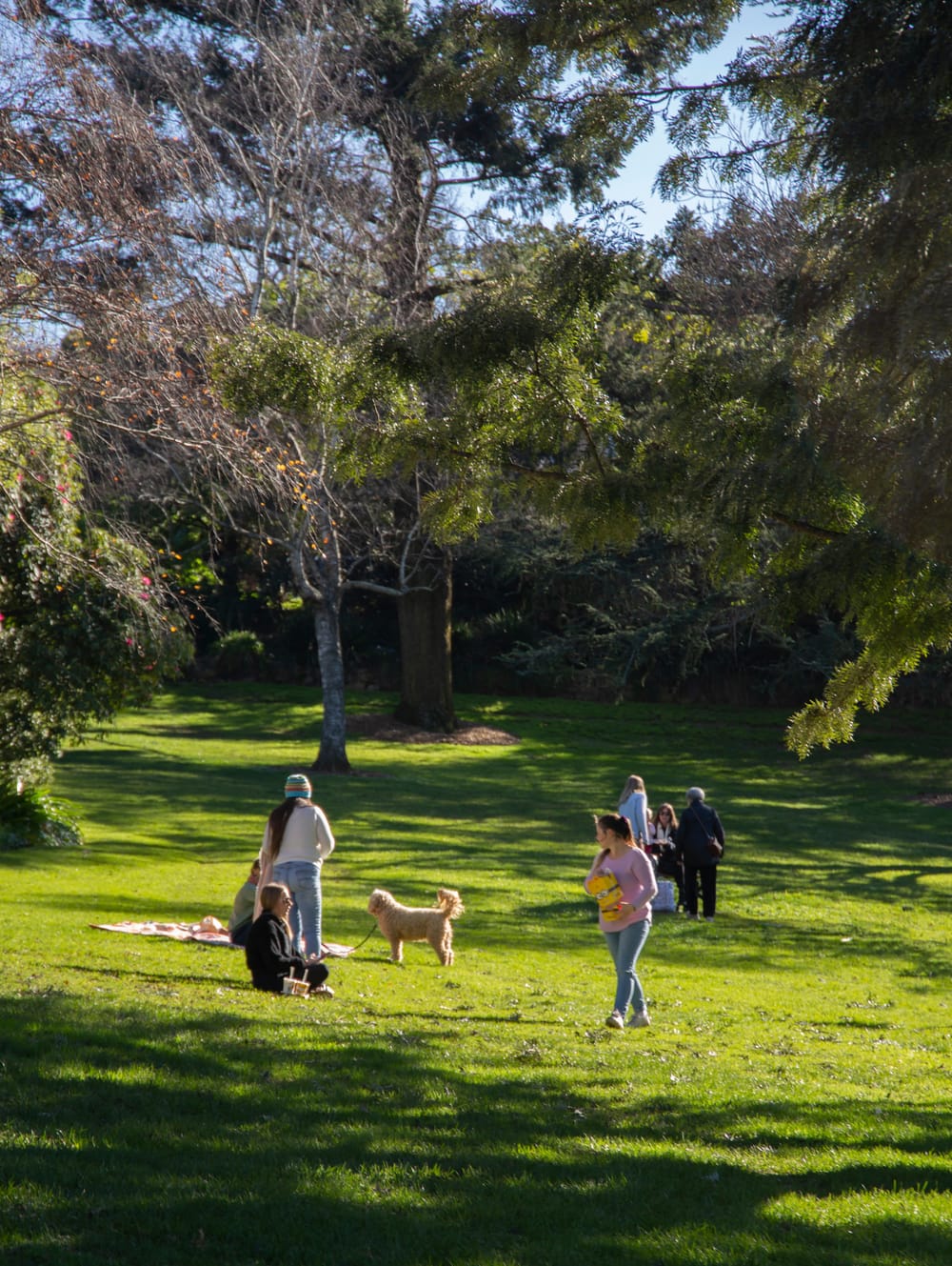 Parks and reserves rezoned in "tidy up" post image