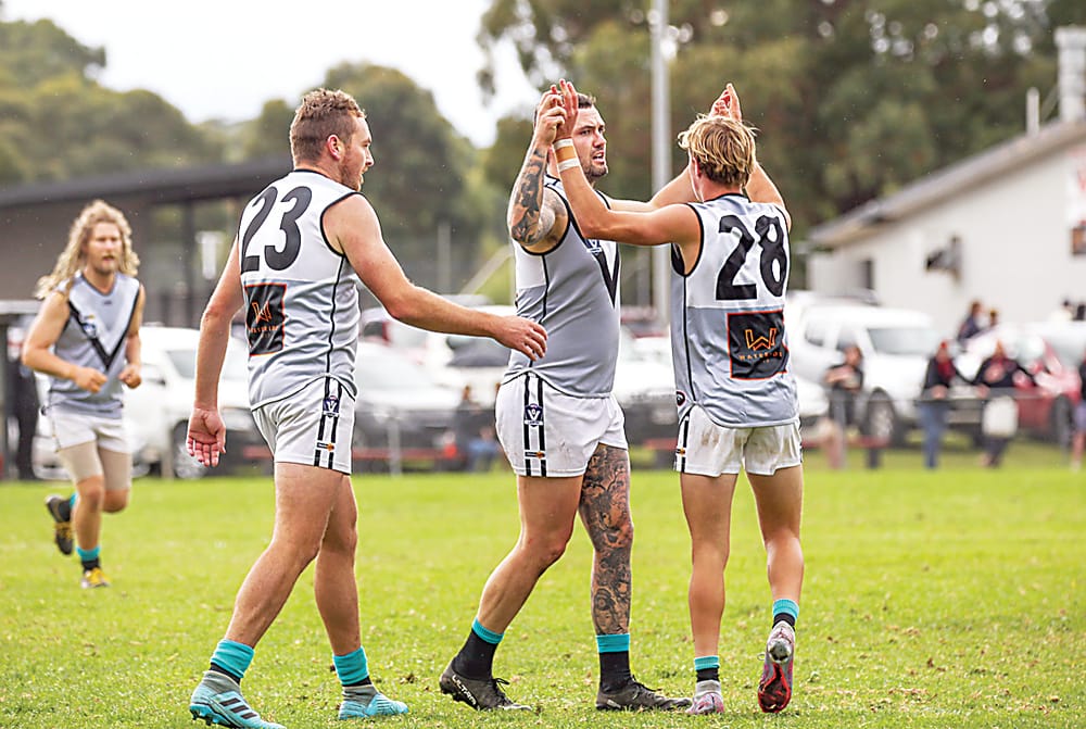 Lyrebirds and Panthers headline EDFNL round six post image