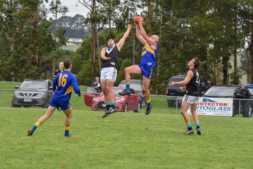 EDFL and EDNA begin talks to amalgamate for 2022 post image