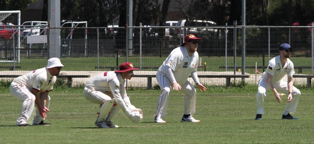 Cellar dwellers look the goods post image