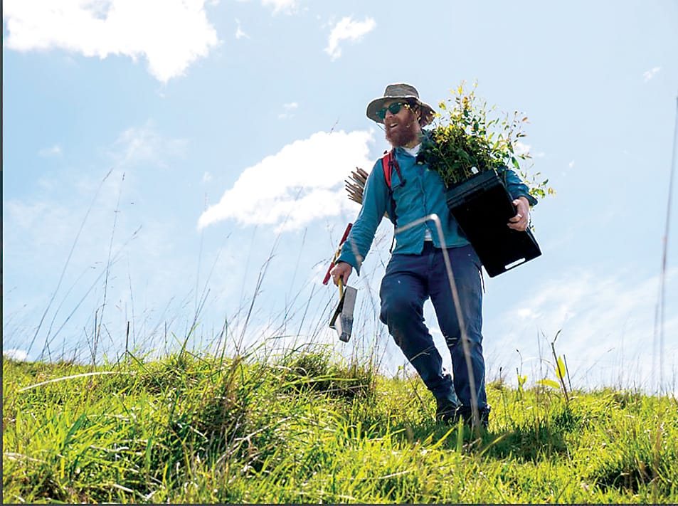 From YouTube views to trees in the ground post image