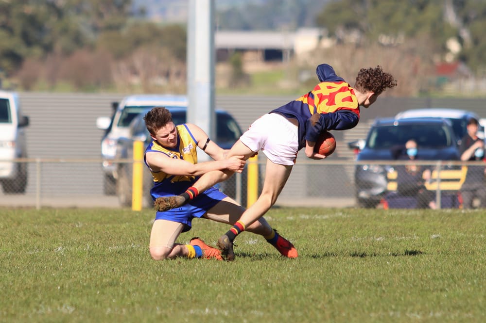 EDFL Juniors back on field post image