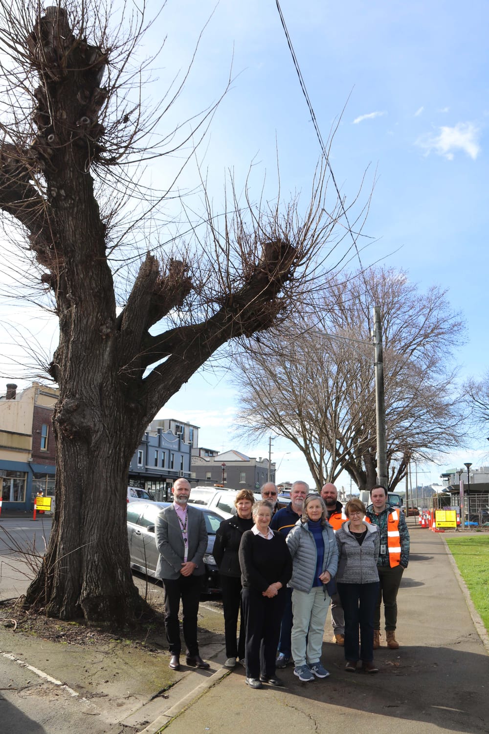 Queen St Trees - 16.08.2022 post image