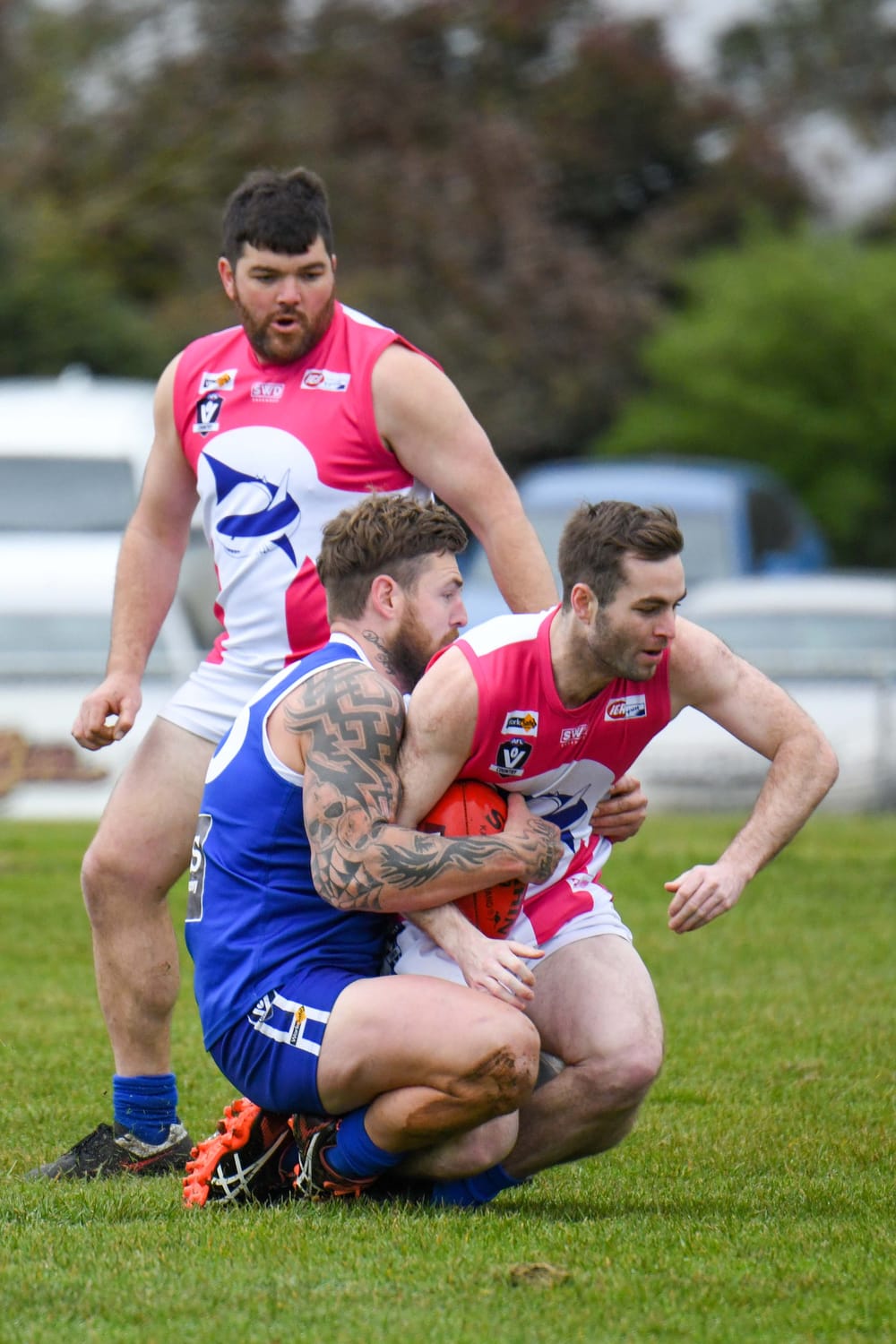 Football MGFNL Reserves Thorpdale Vs. Tarwin - 13.08.2022 post image