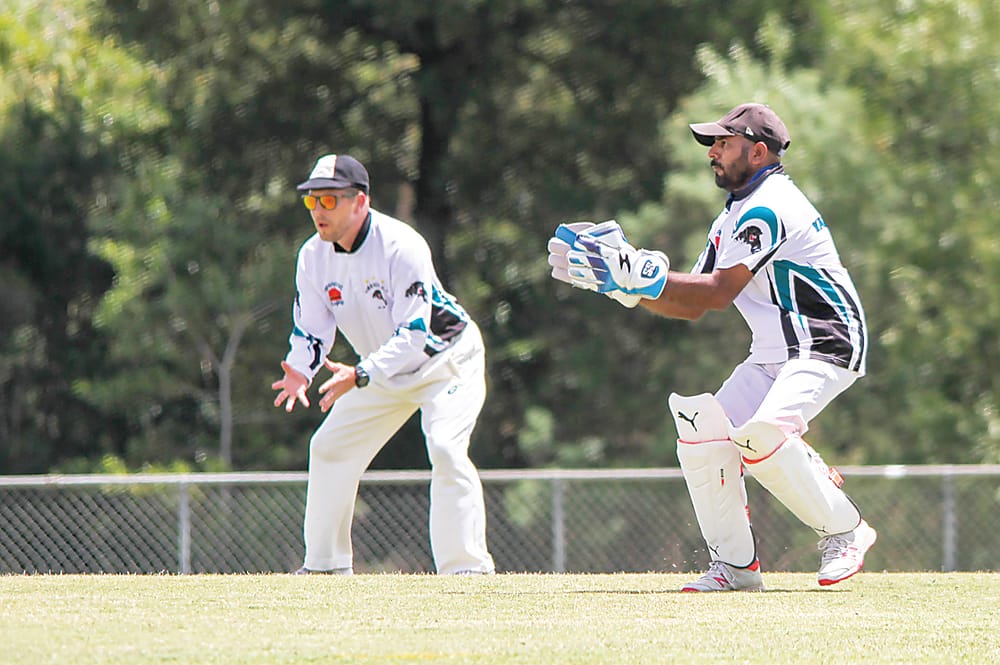 Crows crush Gulls post image