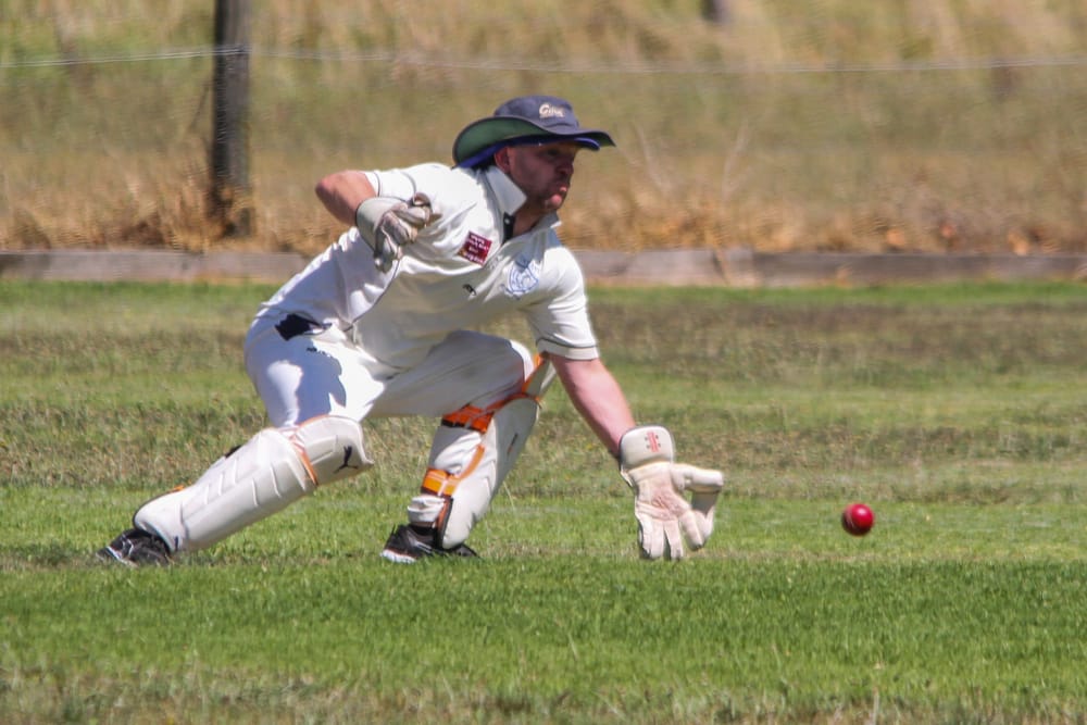 Cats a win away from threepeat post image