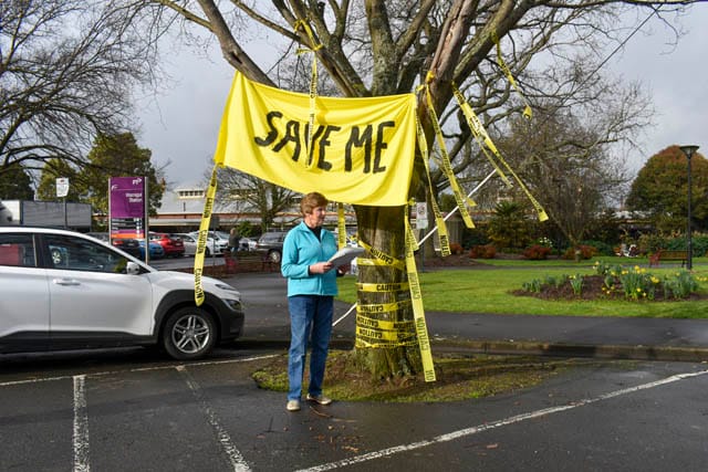 Golden Elm Protest - 30.08.2022 post image