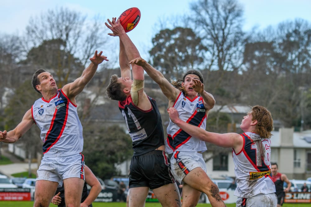 Gulls soar in final round victory post image