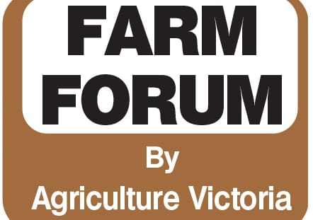 Blink and you'll miss it eye cancer in cattle post image