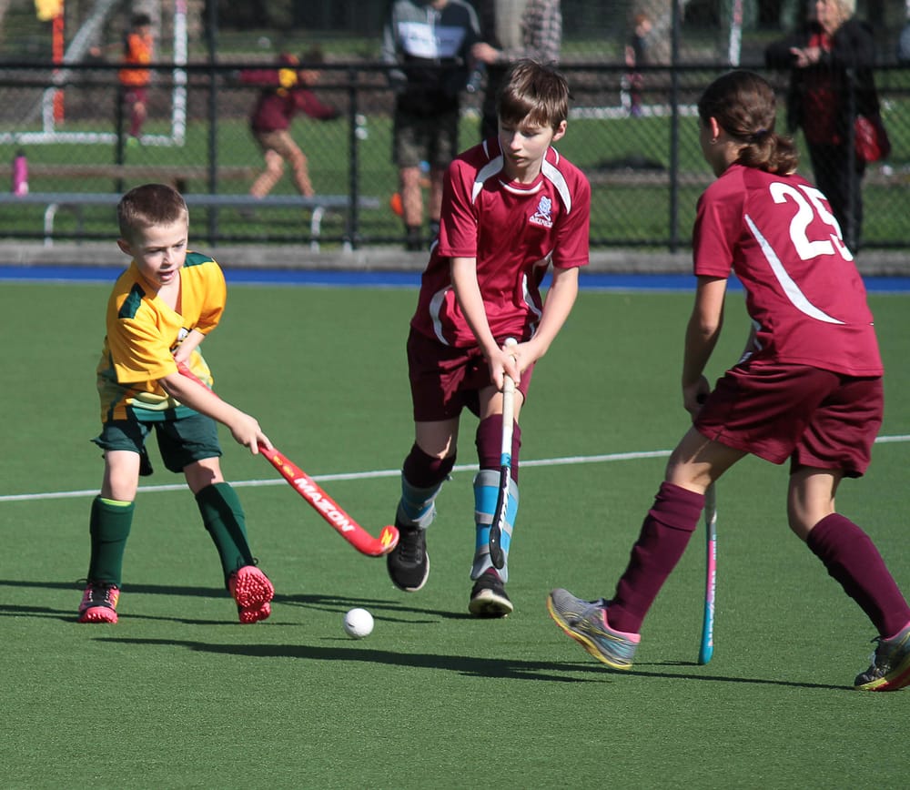 Hockey Gulls Vs. Aztecs 30.04.2022 post image