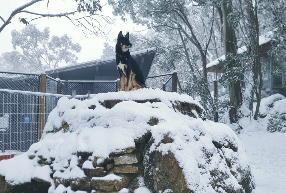 April a balmy autumn month post image