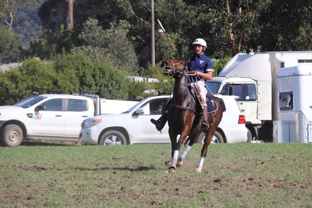 Trafalgar Polocrosse - 04.04.2023 post image