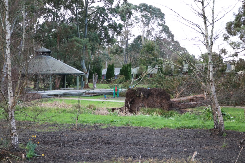 Wind wreaks havoc post image