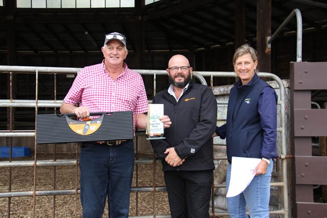 Steer Trial - 09.04.2024 post image