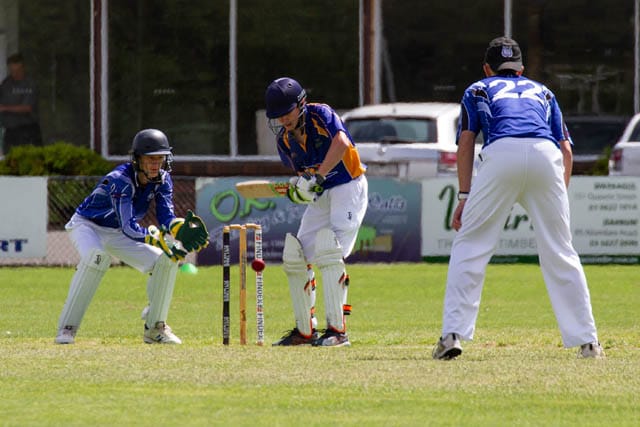 Cricket U16s Western Park v Ellinbank - 19122020 post image