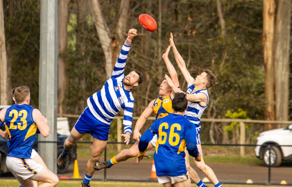 Expect Cats and Eagles prelim to go down to the wire post image