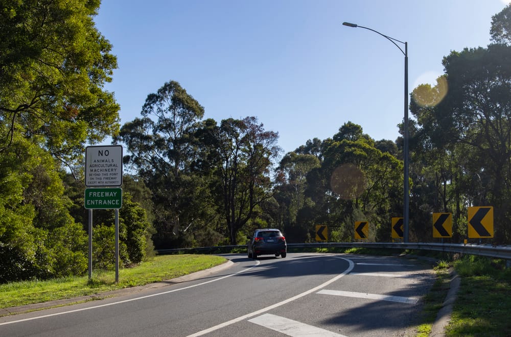 Help prioritise weed and pest control post image