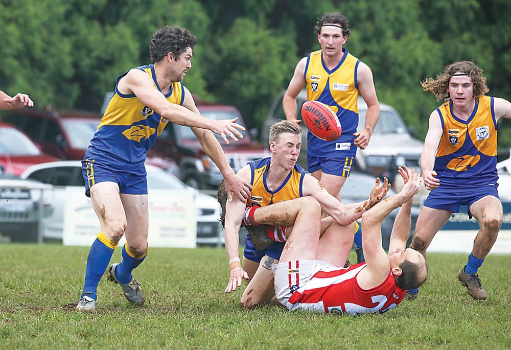 Eagles need response against Panthers post image