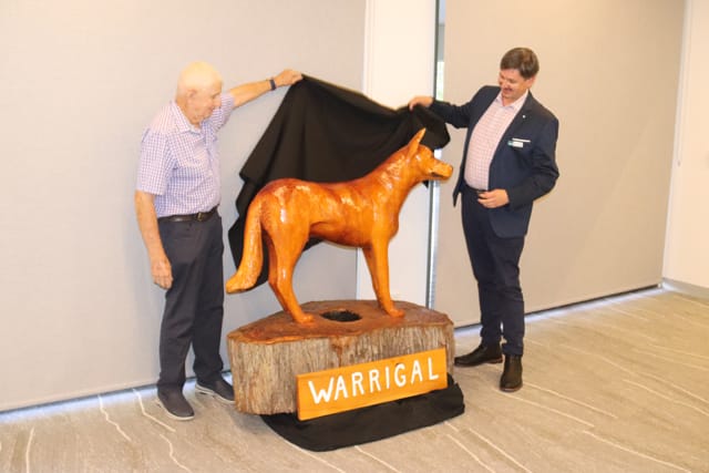 Warrigal Dog - 10.02.2022 post image