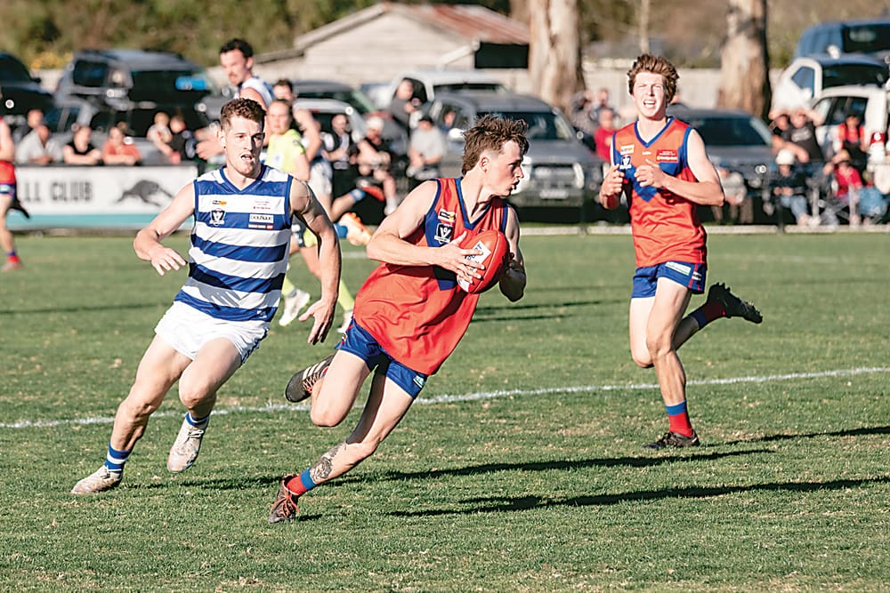 Grand final rematch promises big show as EDFNL returns post image