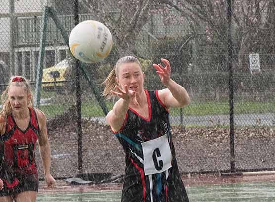 Gulls into five post image