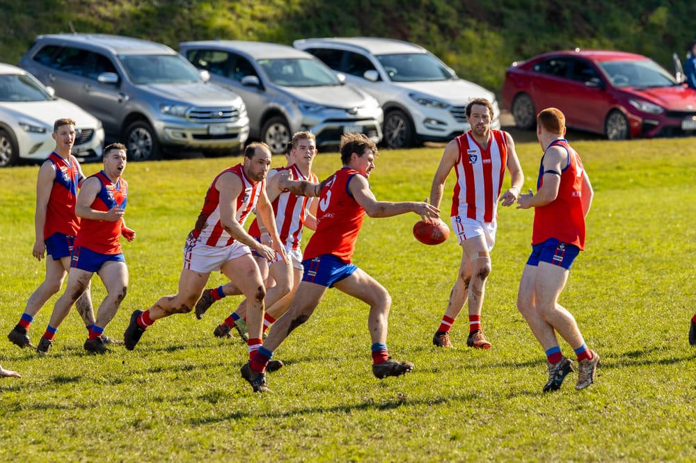 Will Lyrebirds or Bloods advance to take on Cats in EDFNL? post image