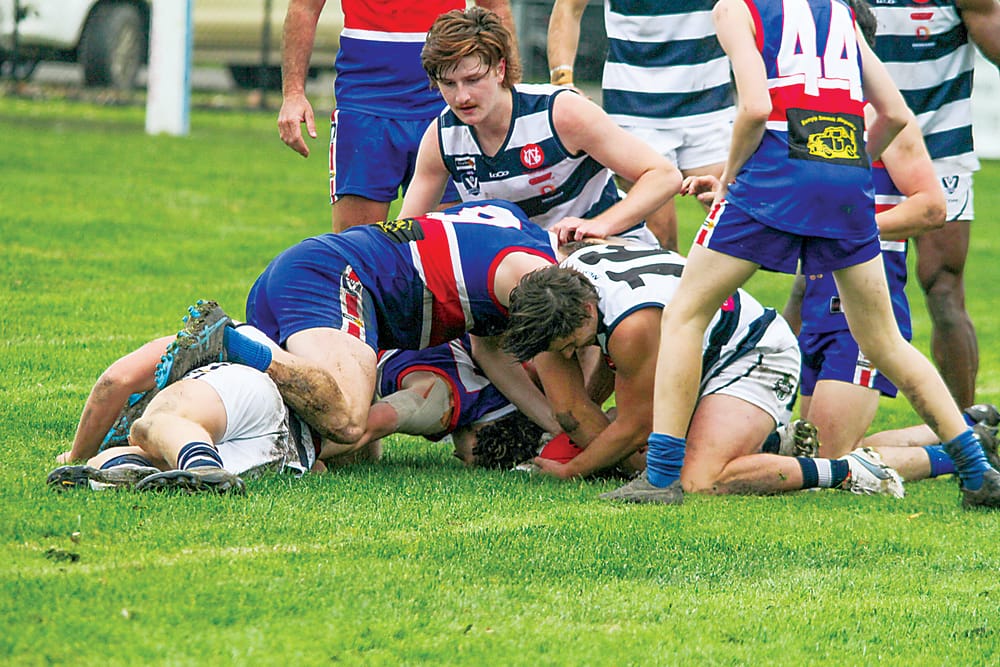 Cobras crunch Dusties post image