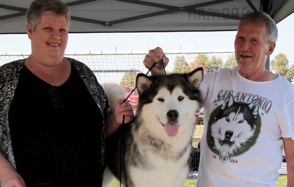 Bunyip Show is this weekend post image