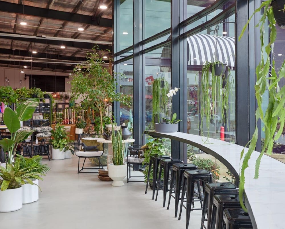 Business barred from having dogs on premises post image