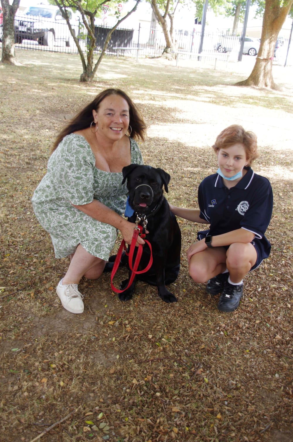 Therapy dog - 15.03.2022 post image