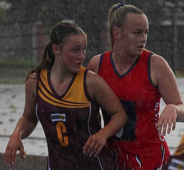 Hawks bounce back post image